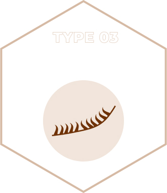 type2
